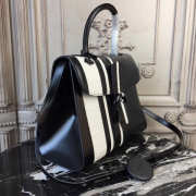 Delvaux Sellier Brillant 1525 - 6