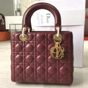 Lady Dior 1608 - 1