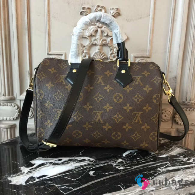 Louis Vuitton Speedy Bag 25x19x15cm - 1