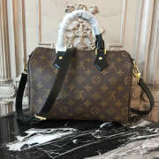 Louis Vuitton Speedy Bag 25x19x15cm - 1