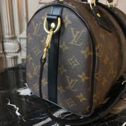 Louis Vuitton Speedy Bag 25x19x15cm - 3