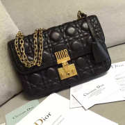 DIORADDICT 1672 - 1