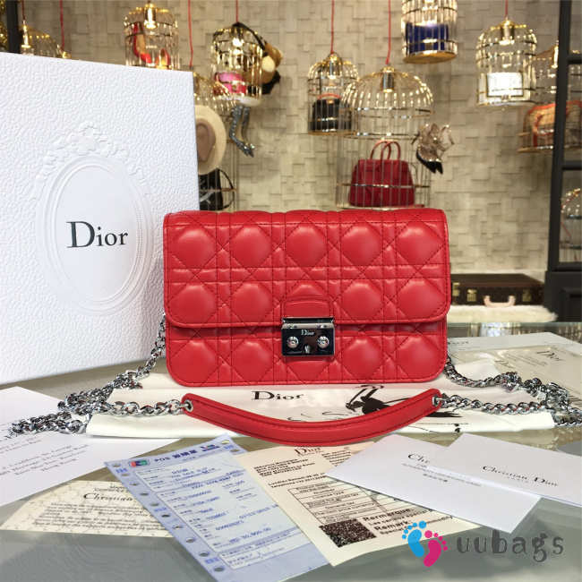 Dior WOC 1675 - 1