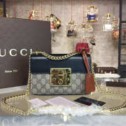 GUCCI Padlock Monogram Chain Bag 20cm (4 colors) - 1