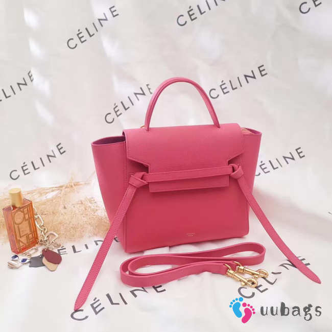 Celine Belt bag 1176 - 1