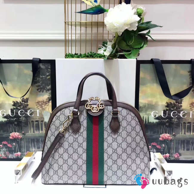 Gucci Ophidia GG shoulder bag 524533 - 1