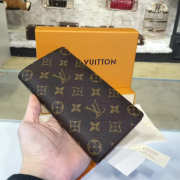 Louis Vuitton BRAZZA M66540 Wallet - 5