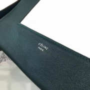 Celine FRAME 1116 - 4