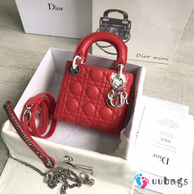 Lady Dior mini 1553 - 1