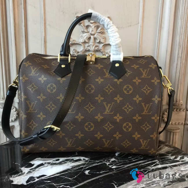 LOUIS VUITTON SPEEDY 30 - 1