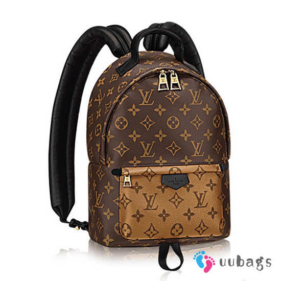 Louis Vuitton M43116 Palm Springs Backpack PM Monogram Canvas - 1