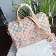 Louis Vuitton Speedy Bag 30x17.5x21cm - 1