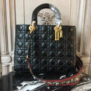 Lady Dior 1560 - 1