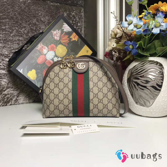 Gucci Ophidia Bag 2628 - 1