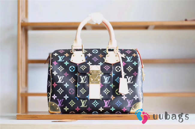 Louis Vuitton Speedy 3824 - 1