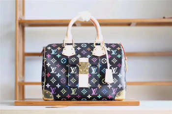 Louis Vuitton Speedy 3824