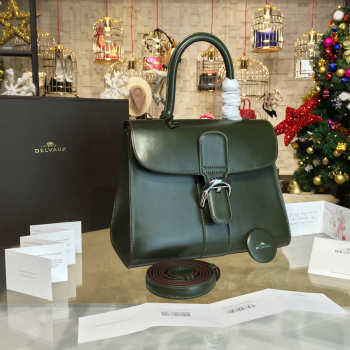 Delvaux handbag 1505