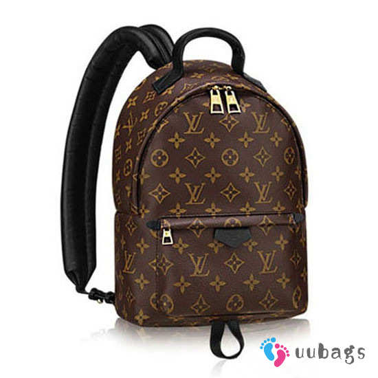 Louis Vuitton M41560 Palm Springs Backpack PM Monogram Canvas - 1