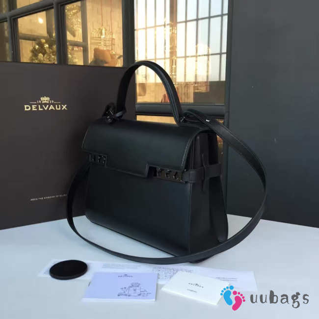 Delvaux Handbag - 1