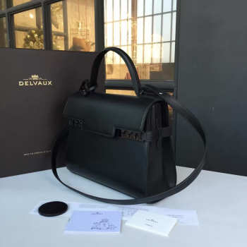 Delvaux Handbag