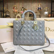 Lady Dior 1646 - 1