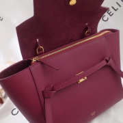 Celine Belt bag 1170 - 6