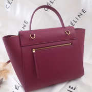 Celine Belt bag 1170 - 5