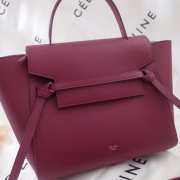 Celine Belt bag 1170 - 4