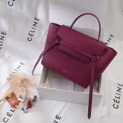 Celine Belt bag 1170 - 3