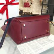 Celine Belt bag 1207 - 5