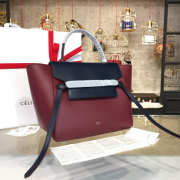 Celine Belt bag 1207 - 3