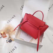 Celine Belt bag 1175 - 3