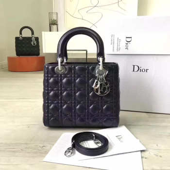 Lady Dior 1581