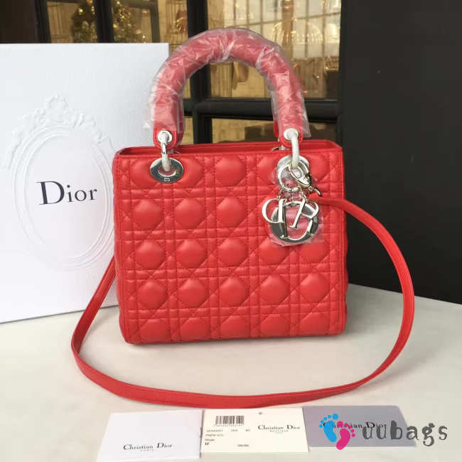 Lady Dior 1619 - 1