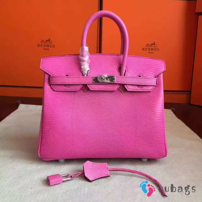 Hermes birkin 2930 25cm - 1