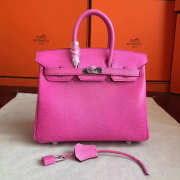 Hermes birkin 2930 25cm - 1