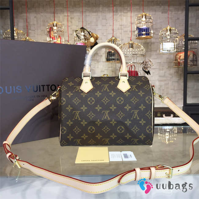 LOUIS VUITTON SPEEDY 25 3219 - 1