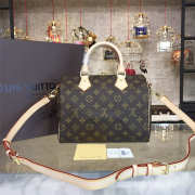 LOUIS VUITTON SPEEDY 25 3219 - 1