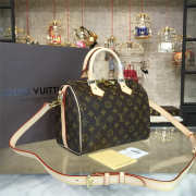 LOUIS VUITTON SPEEDY 25 3219 - 5