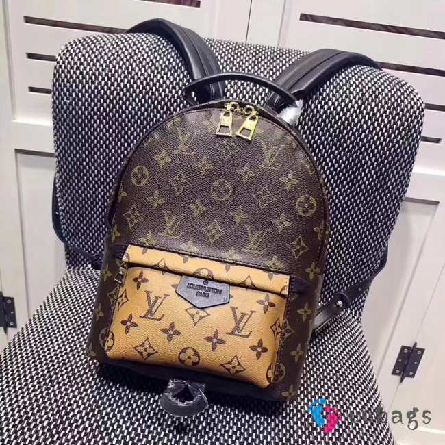 LOUIS VUITTON PALM SPRINGS BACKPACK PM M43116 - 1