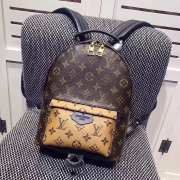 LOUIS VUITTON PALM SPRINGS BACKPACK PM M43116 - 5