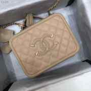 Chanel Vanity Bag all Beige  - 5