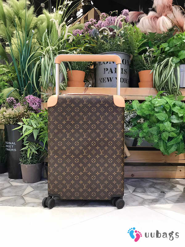 Louis Vuitton Horizon Luggage 50cm - 1