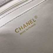 Chanel Palm print calfskin clutch White - 3