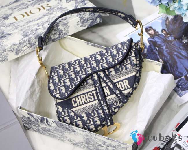 Dior Saddle Bag - 1