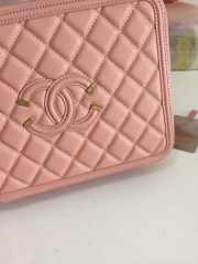 Chanel Vanity Bag Pink - 6