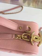 Chanel Vanity Bag Pink - 2