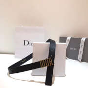 Dior Belt 002 - 4