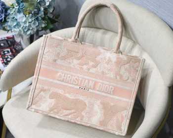 Dior Book Tote small size 