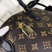 LV FLOWER TOTE Bag M43550 - 5